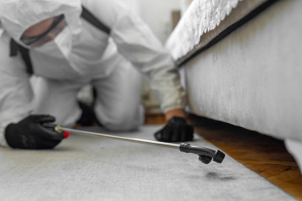 Professional Cockroach Control technician working in Bergen County County, NJ